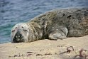 helgoland-bearbeit_1