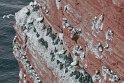 helgoland-bearbeit_11