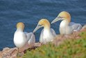 helgoland-bearbeit_13