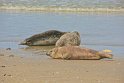 helgoland-bearbeit_2