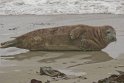 helgoland-bearbeit_22