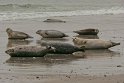 helgoland-bearbeit_25