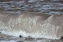 helgoland-bearbeit_36
