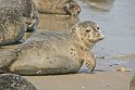 helgoland-bearbeit_4