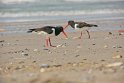 helgoland-bearbeit_5
