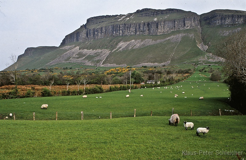 irland_21.jpg