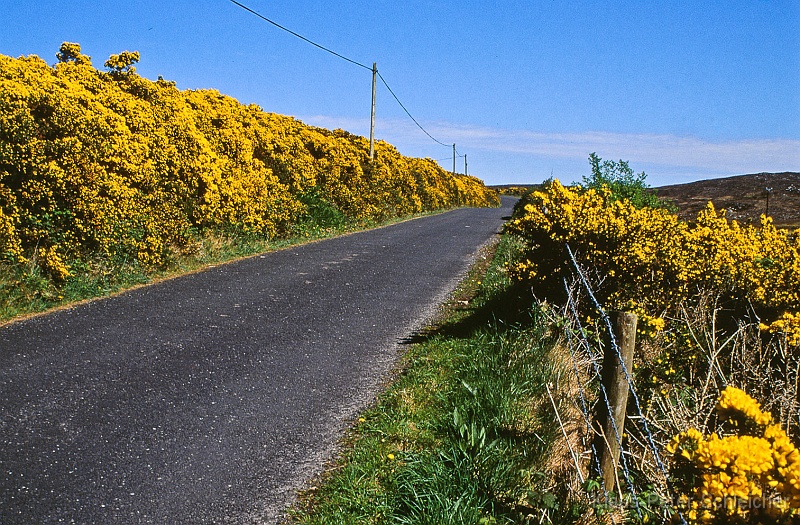 irland_24.jpg