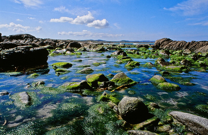 irland_36.jpg