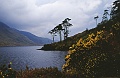 irland_10