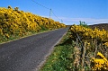 irland_24