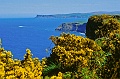 irland_34