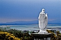 irland_4