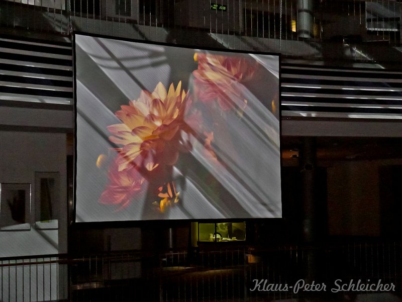 vernissage_sparkasse_39
