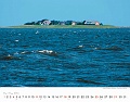 Nordsee 2014 (5)